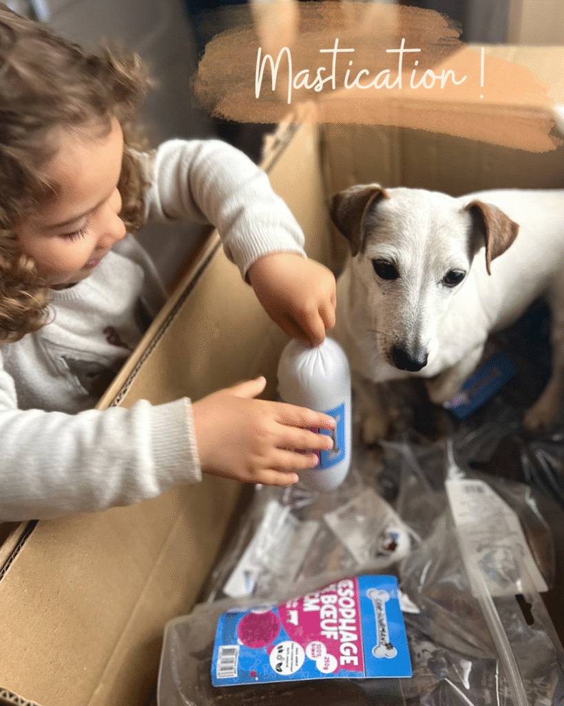 mastication chez le chien un besoin