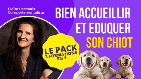 Formation accueil du chiot