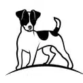 Standard du Jack Russell