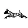 Sports canins et utilité jack russel