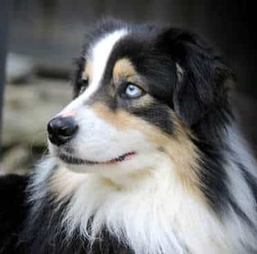 XSELL WHO DIS N NORTHBAY