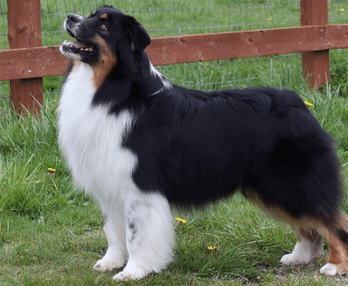 stormridge's unexpected delivery