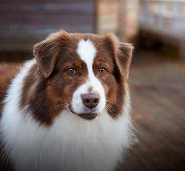 macmatt graffiti kiss me now