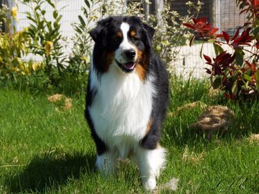 still uptown funk elvikam