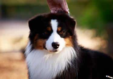 CH.SEVENTY SEVEN STORM IS COMING