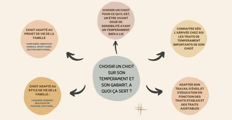 benefices choisir un chiot caractere