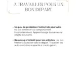 choisir un chiot sur le caractere et mode de vie