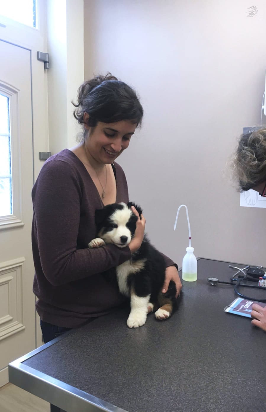visite veterinaire départ chiot