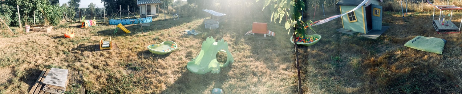 eveil socialisation sociabilisation chiot