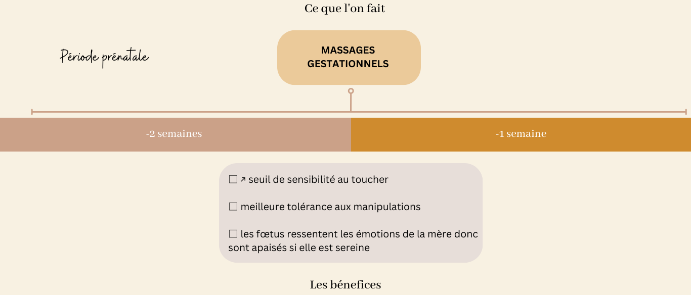 socialisation sociabilisation eveil du chiot