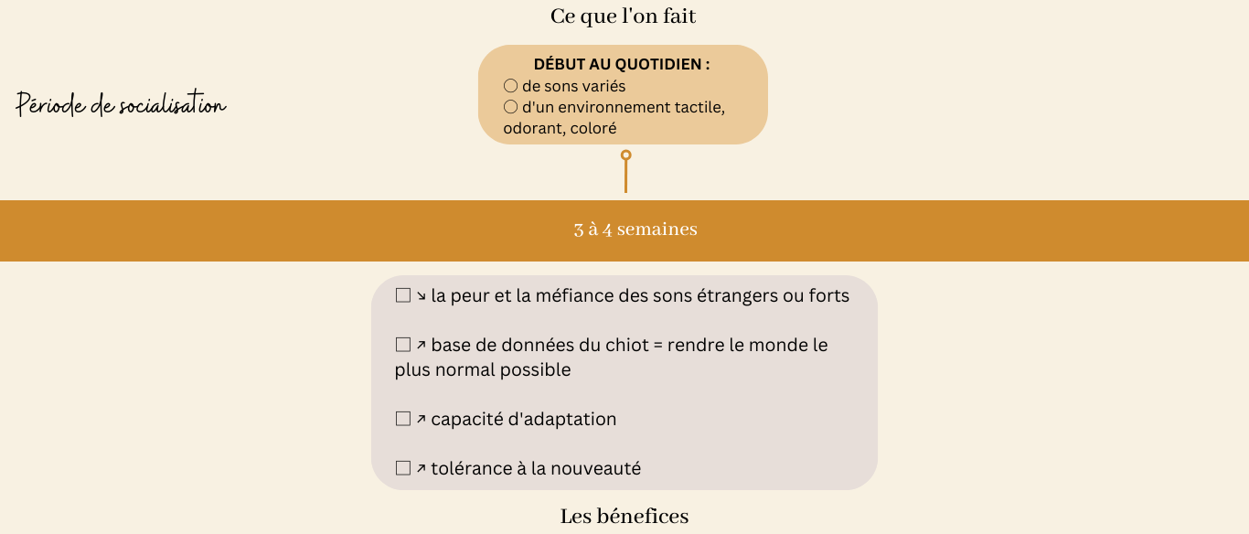 eveil socialisation sociabilisation chiot