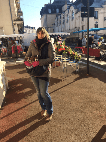 sociabilisation socialisation chiot jack russel