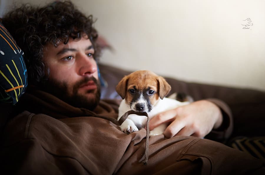 socialisation sociabilisation chiot jack russel