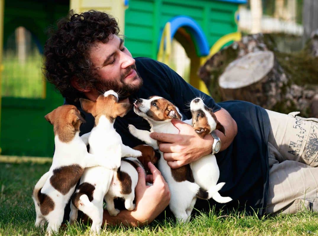 socialisation sociabilisation chiot jack russel