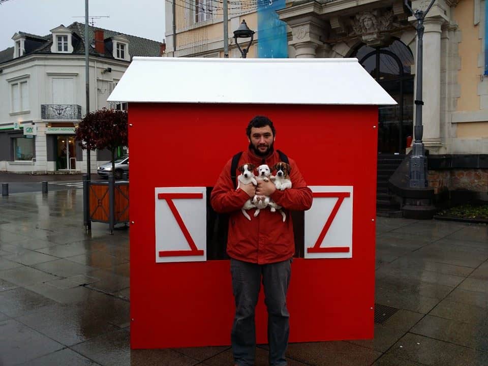 sociabilisation socialisation chiot jack russel