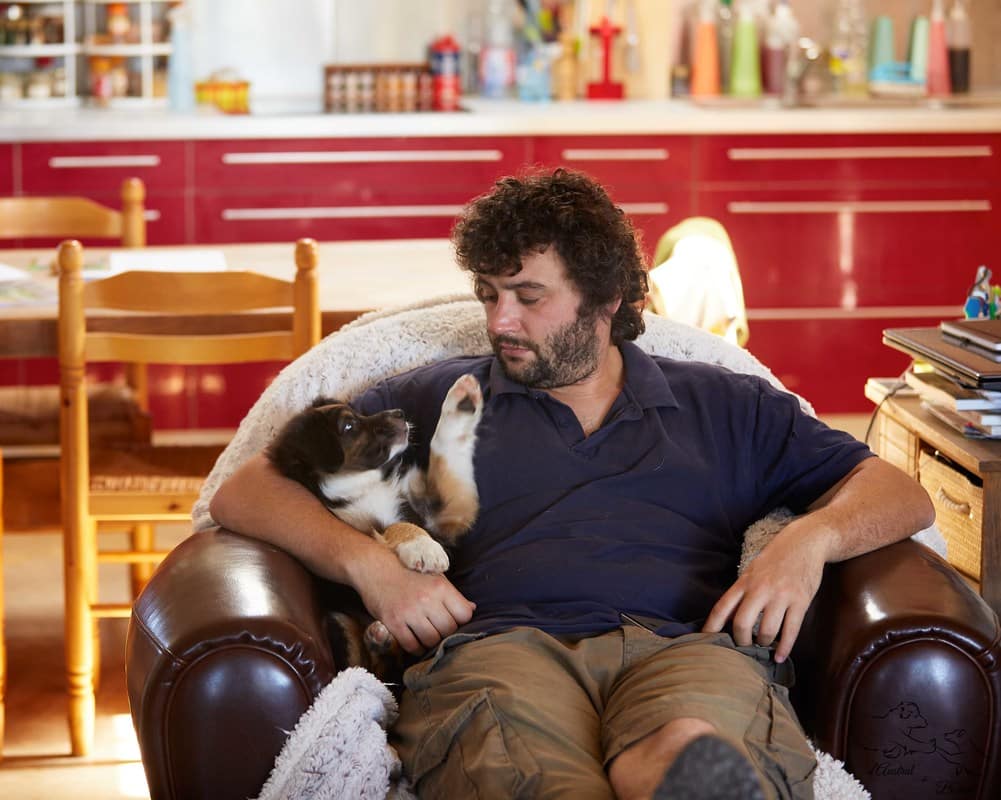 socialisation sociabilisation chiot berger australien