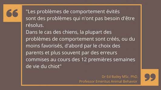 le manque de socialisation du chiot