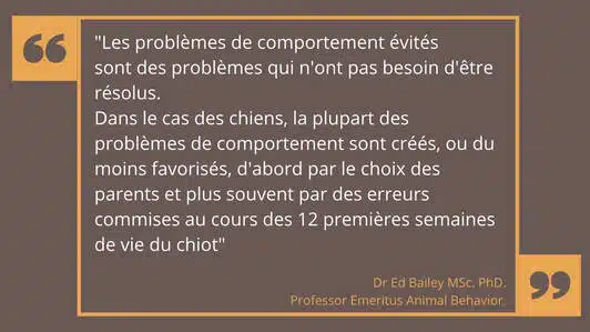 le manque de socialisation du chiot