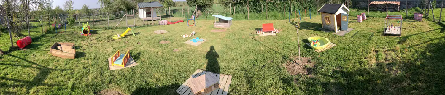 eveil socialisation sociabilisation chiot