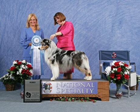 CH. Hearthside Standing Ovation