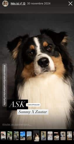 instagram austral et boreal