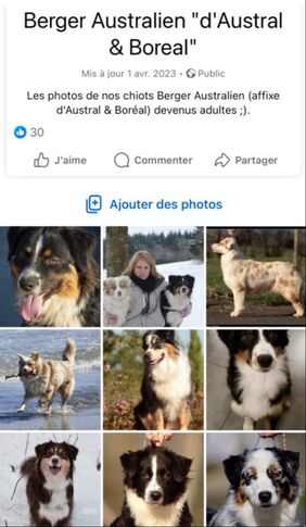 facebook austral et boreal