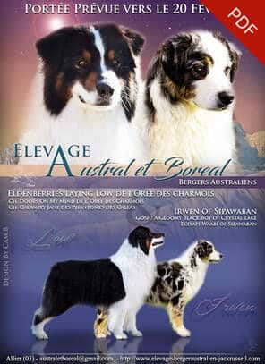 mariage bergers australiens