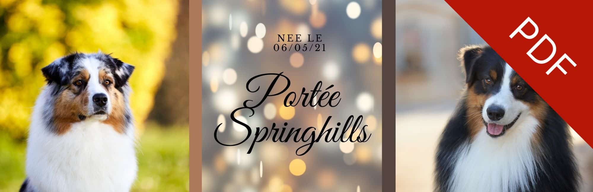 mariage bergers australiens