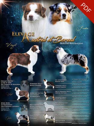 mariage bergers australiens