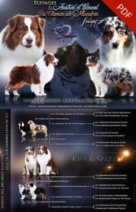 mariage bergers australiens