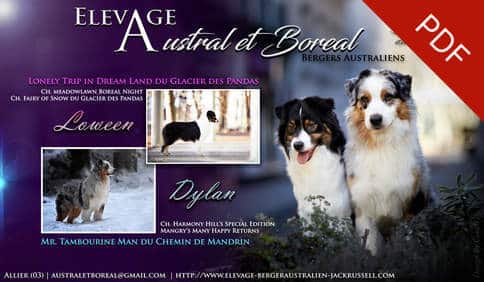 mariage bergers australiens