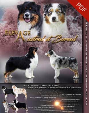 mariage bergers australiens