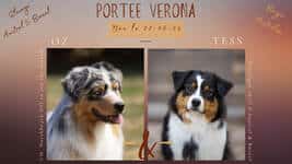 mariage bergers australiens