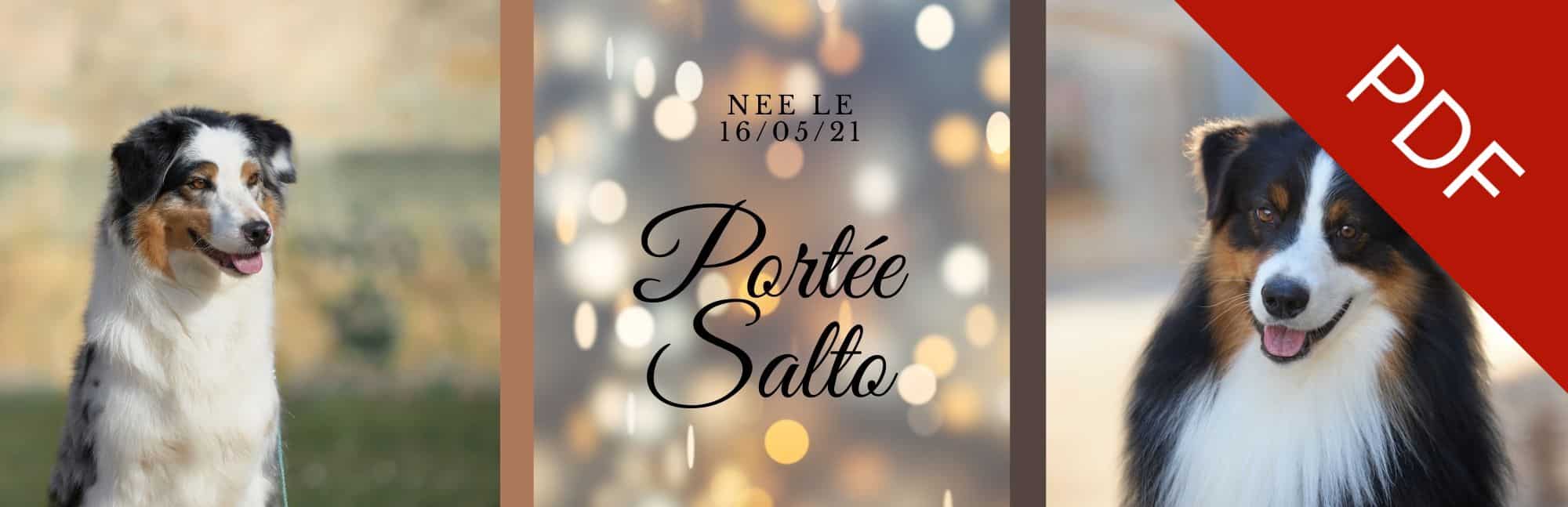 mariage bergers australiens