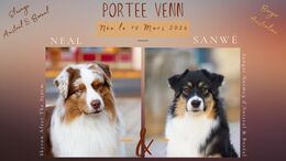 mariage bergers australiens