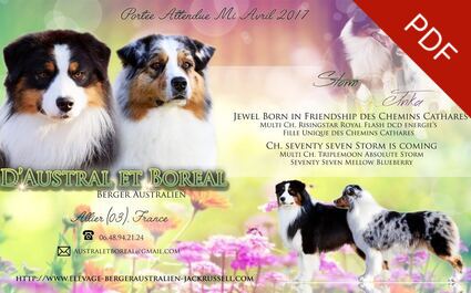 mariage bergers australiens