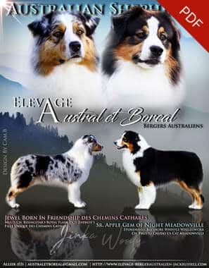 mariage bergers australiens