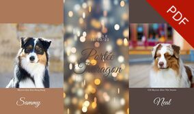 mariage bergers australiens