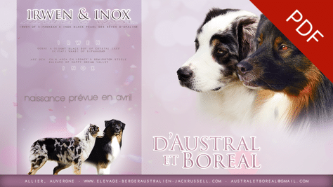 mariage bergers australiens