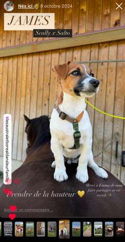 instagram austral et boreal