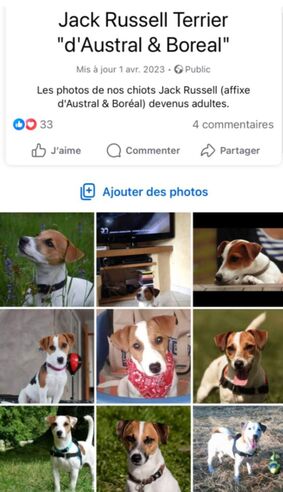 facebook austral et boreal