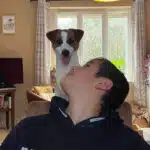 chien jack russell terrier elevage fauve et blanc