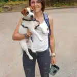 chien jack russell terrier elevage fauve et blanc