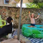 chienne femelle berger australien LOF noir tricolore