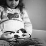 chiot jack russell sociabilisé sociabilisation socialisation élevage familial