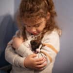 chiot jack russell sociabilisé sociabilisation socialisation élevage familial