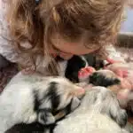 enfant et chiot berger australien