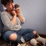 chiot jack russel sociabilisé sociabilisation socialisé socialisation élevage familial