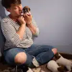 chiot jack russel sociabilisé sociabilisation socialisé socialisation élevage familial
