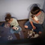 chiot jack russel sociabilisé sociabilisation socialisé socialisation élevage familial